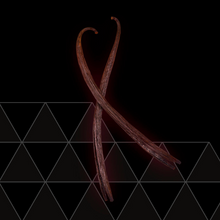 Afbeelding in Gallery-weergave laden, Vanille - Planifolia Red (6 pcs)