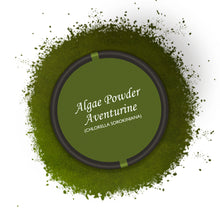 Laden Sie das Bild in den Galerie-Viewer, Algae Powder Aventurine (180g netto) 
