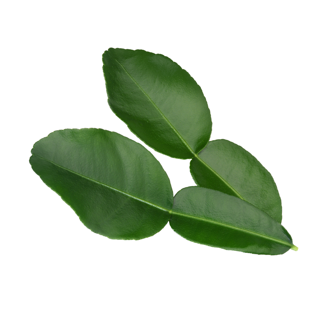 Kaffir Lime Leaves (1 x 25 pcs)