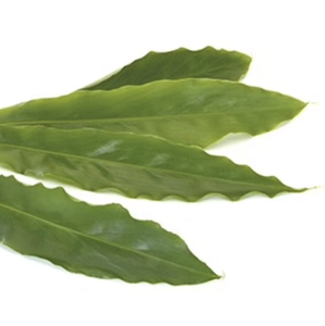 Cardamom Leaves (1 x 30 pcs)