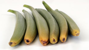 Vanilla - Planifolia Green (6 pcs)